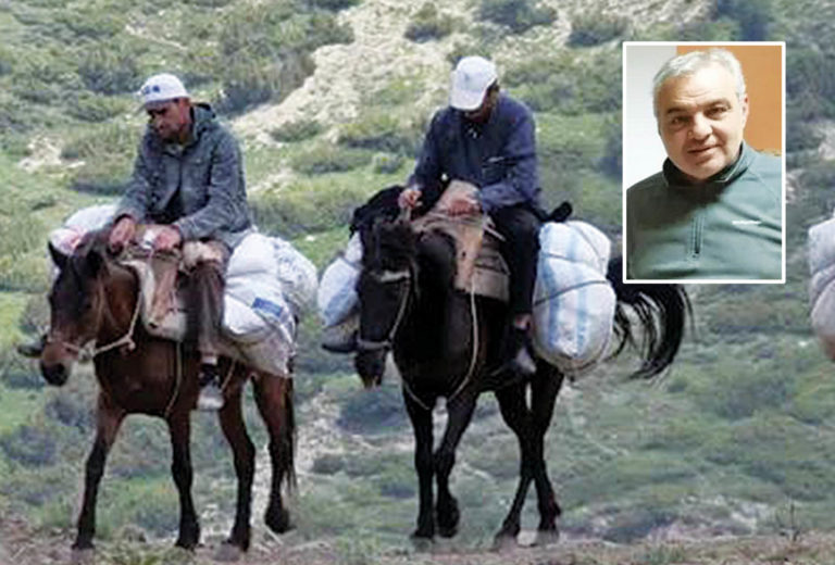 Ξεπατώνουν τα αρωματικά φυτά στην Πίνδο
