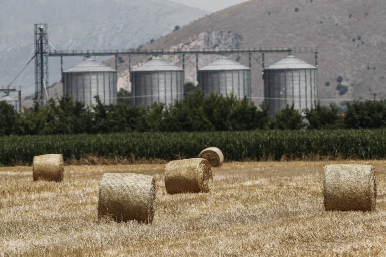 Οι ανοιχτές πληγές της κτηνοτροφίας της Κρήτης