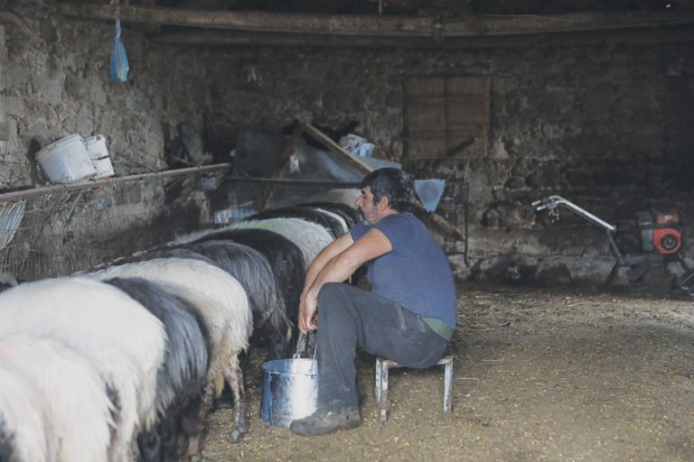 Δίκαιες αποζημιώσεις και μέτρα ζητούν οι κτηνοτρόφοι