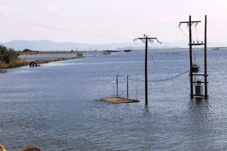 Μέχρι το τέλος Οκτωβρίου οι αιτήσεις θεραπείας επί των τελικών πορισμάτων του ΕΛΓΑ για τις απώλειες από τον “Daniel”