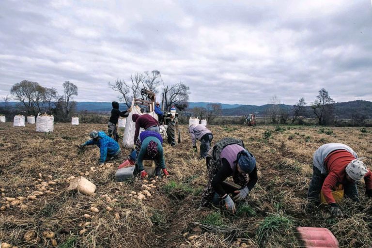 Αγρότες: Σύσταση Ευρωπαϊκού Ειδικού Ταμείου αντιμετώπισης συνεπειών από φυσικές καταστροφές