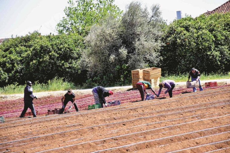600 εκατ. και αντιπαροχή γαιών για θερμοκήπια
