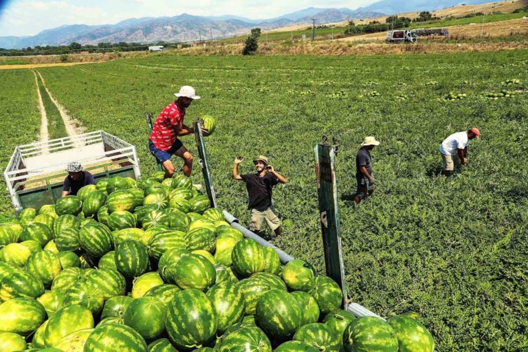 Έρχονται αλλαγές χωρίς ενημέρωση των αγροτών