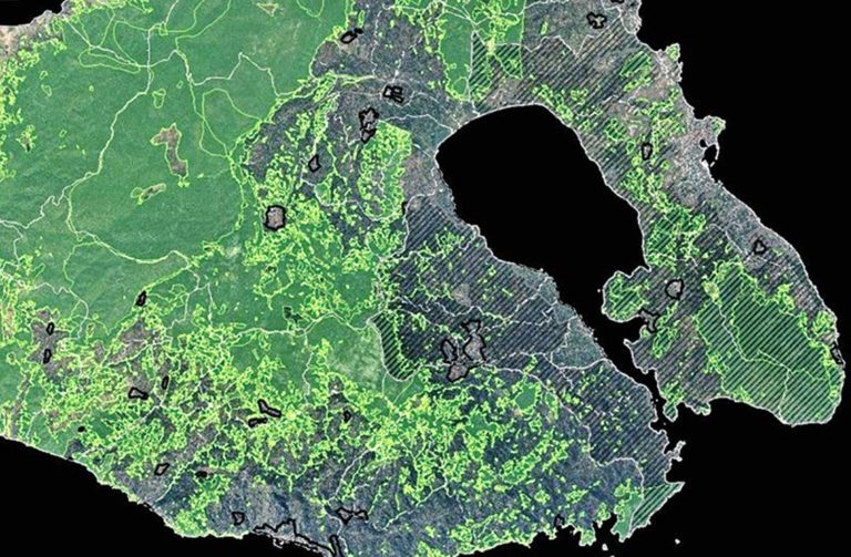 Δασοποίηση και αρπαγή εκτάσεων από το Δημόσιο στο Βόρειο Αιγαίο