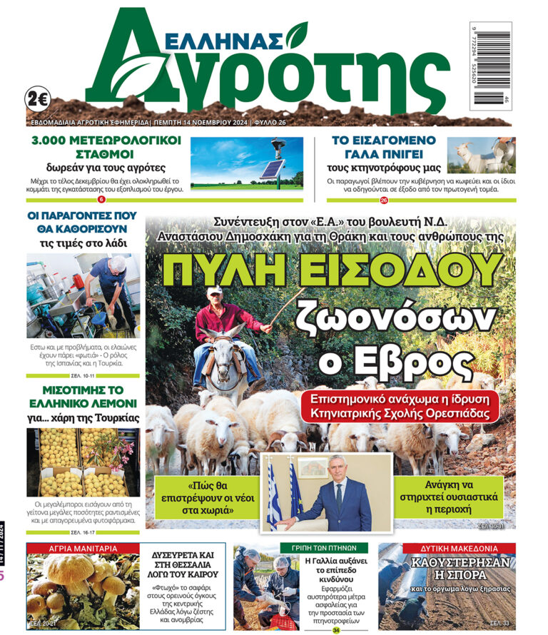 Πέμπτη 14.11.24