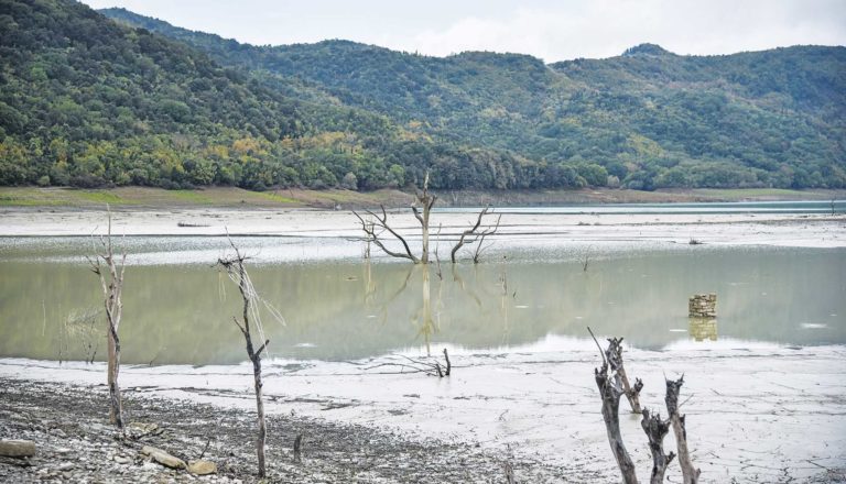«Αποζημιώστε μας» λένε οι αγρότες της Κρήτης