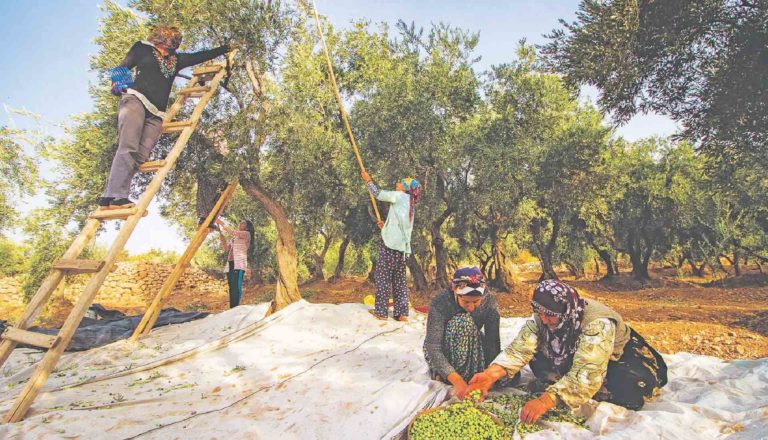 Η δυναμική της Τουρκίας