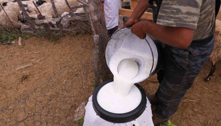 Στα ΠΟΠ και το τυρί τσαλαφούτι της Πίνδου