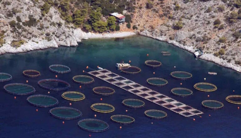 Κονδύλι 4 εκατ.€ για τον χωροταξικό σχεδιασμό στις υδατοκαλλιέργειες