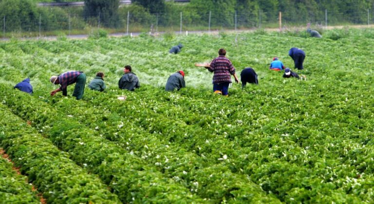 Eurostat: Κυριαρχούν οι οικογενειακές γεωργικές εκμεταλλεύσεις στην Ευρώπη