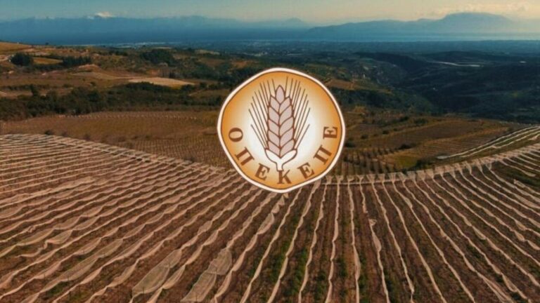 ΕΘΕΑΣ: Ανάγκη ανάκλησης του αντισυνταγματικού και παράνομου περιεχομένου τροποποιητικής εγκυκλίου του ΟΠΕΚΕΠΕ