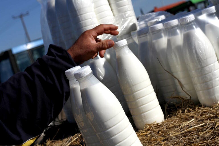 Με τιμή παραγωγού κοντά στο 1.60€ οι πρώτες συμφωνίες για γάλα - Φθηνότερη η μηδική στη Θεσσαλία