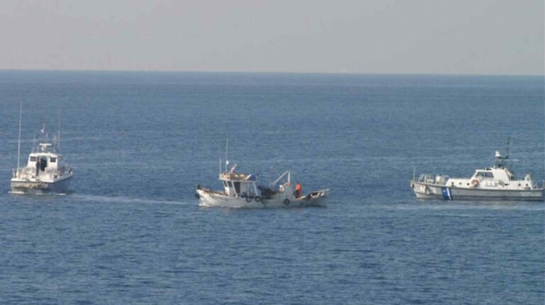 Eρώτηση Μπελέρη για τον «πόλεμο της τσιπούρας» στο ανατολικό Αιγαίο