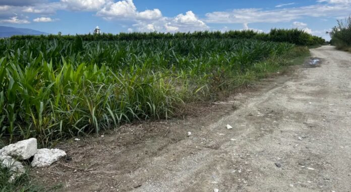 ΑΜΠΕΛΩΝΑΣ agro