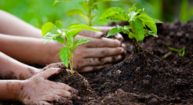 Μέχρι 14 Φεβρουαρίου οι αιτήσεις για τις Ομάδες Παραγωγών