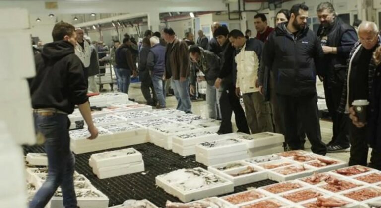 Εκπαιδευτική επίσκεψη του τμήματος Βιολογίας του Aegean College στην Ιχθυόσκαλα Θεσσαλονίκης