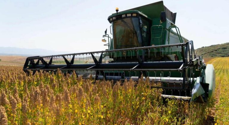 Εντός Φεβρουαρίου η ρύθμιση για τα κόκκινα αγροτικά δάνεια