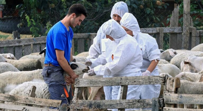 ΠΕΚΔΥ: Οι κτηνίατροι του Δημοσίου ξεκινούν κινητοποιήσεις με δυο βασικά αιτήματα