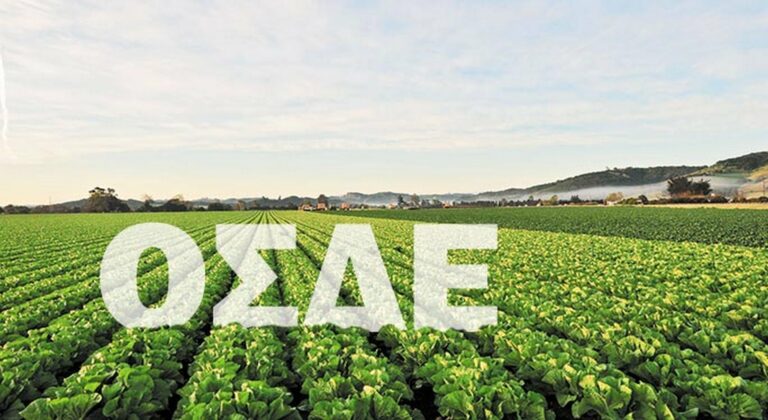 Βιολογικές καλλιέργειες: Οι αλλαγές στις δηλώσεις ΟΣΔΕ πέταξαν έξω τους γεωργούς από τις ενισχύσεις