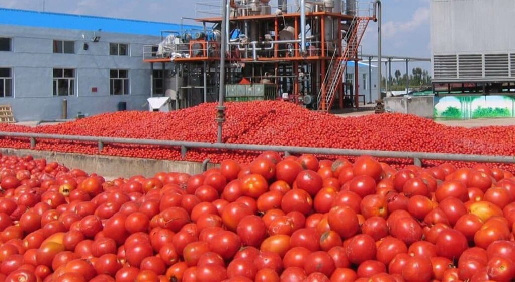 Ηλεία: Αγρότες, φορείς και βουλευτές, ζητούν παράταση ασφαλιστικών εισφορών για τη στήριξη της Βιομηχανικής Τομάτας