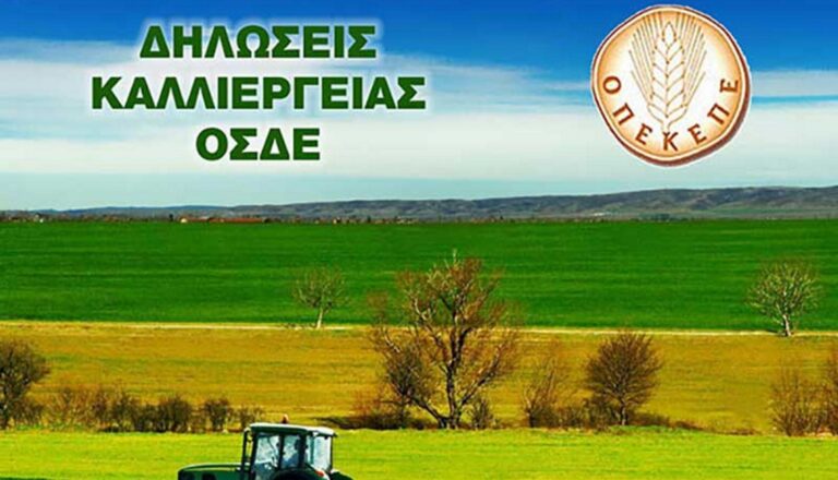 Κλείνει για να ανοίξει ξανά η πύλη ΟΣΔΕ - Προβλήματα με τη συνδεδεμένη σε τριφύλλι και μηδική