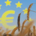 Έτσι μπορείτε να δείτε αναλυτικά ποσά που λαμβάνετε από την ΑΑΔΕ