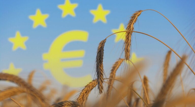 Έτσι μπορείτε να δείτε αναλυτικά ποσά που λαμβάνετε από την ΑΑΔΕ