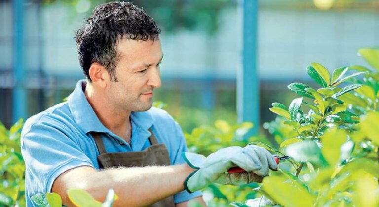Οι γεωτεχνικοί της Σάμου αντιτίθενται στο ενδεχόμενο απομάκρυνσης υπηρεσιών του πρωτογενούς τομέα