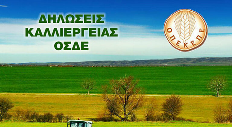 Το ΟΣΔΕ 2024 παραμένει ανοιχτό για το σιτάρι - Όλες οι αλλαγές που επιτρέπει ο ΟΠΕΚΕΠΕ