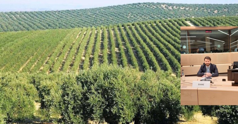Κώστας Μπαγινέτας: Πορεία προς το προσεχές Πολυετές Δημοσιονομικό Πλαίσιο - Τα μηνύματα της ανακοίνωσης της ΕΕ για την ΚΑΠ μετά το 2027