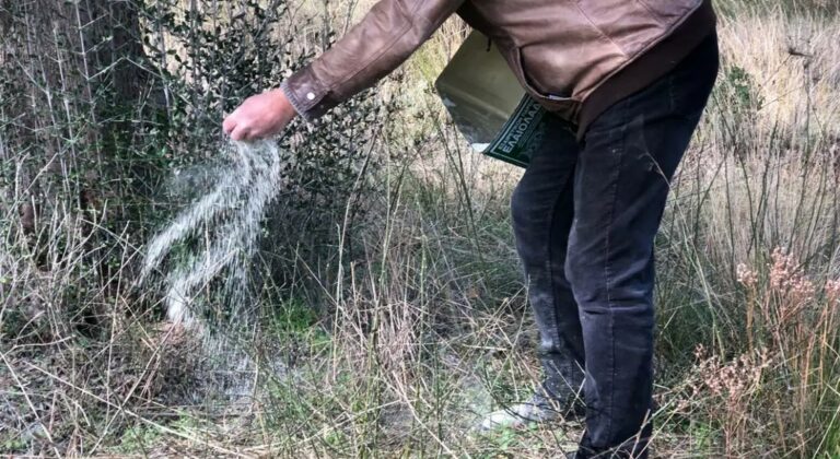 Ο Ζεόλιθος αποτελεί οικολογική εναλλακτική λύση για την προστασία των ελαιόδεντρων