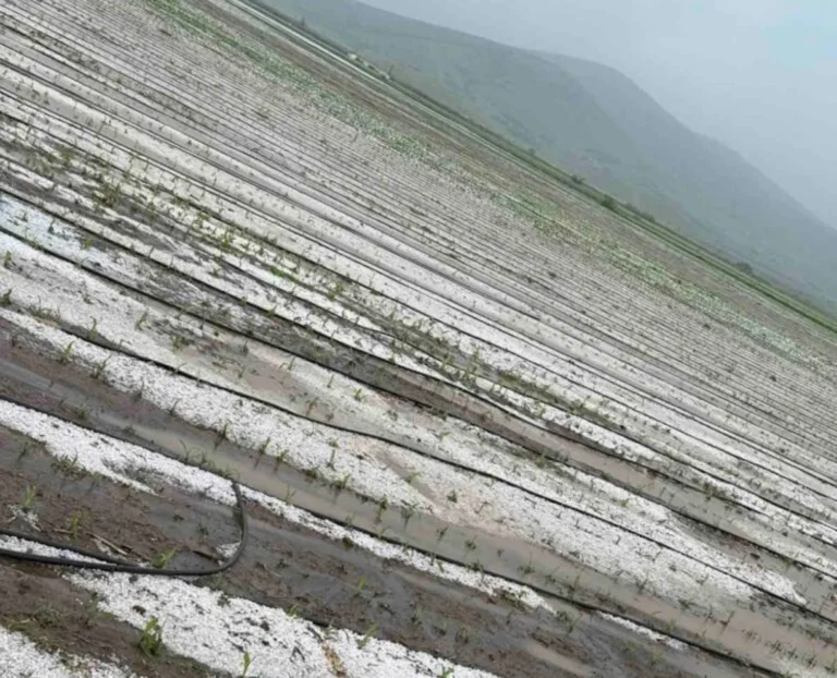 Χαλάζι και δυνατή βροχή προκάλεσαν ζημιές σε καλλιέργειες στη Θεσσαλία