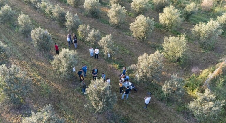 Η εφαρμογή του Βορίου κατά τους χειμερινούς μήνες