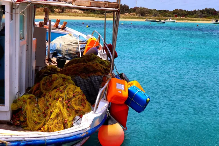 Αλιείς σε απόγνωση απέναντι σε νέα γραφειοκρατικά μέτρα