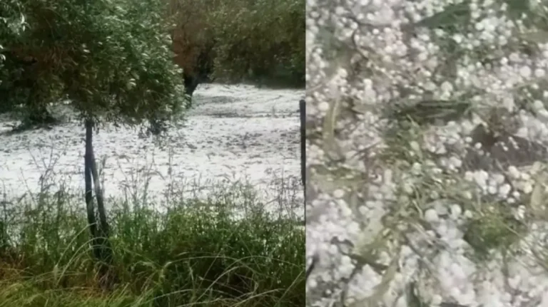 Έντονη χαλαζόπτωση κατέστρεψε καλλιέργειες στην Άρτα