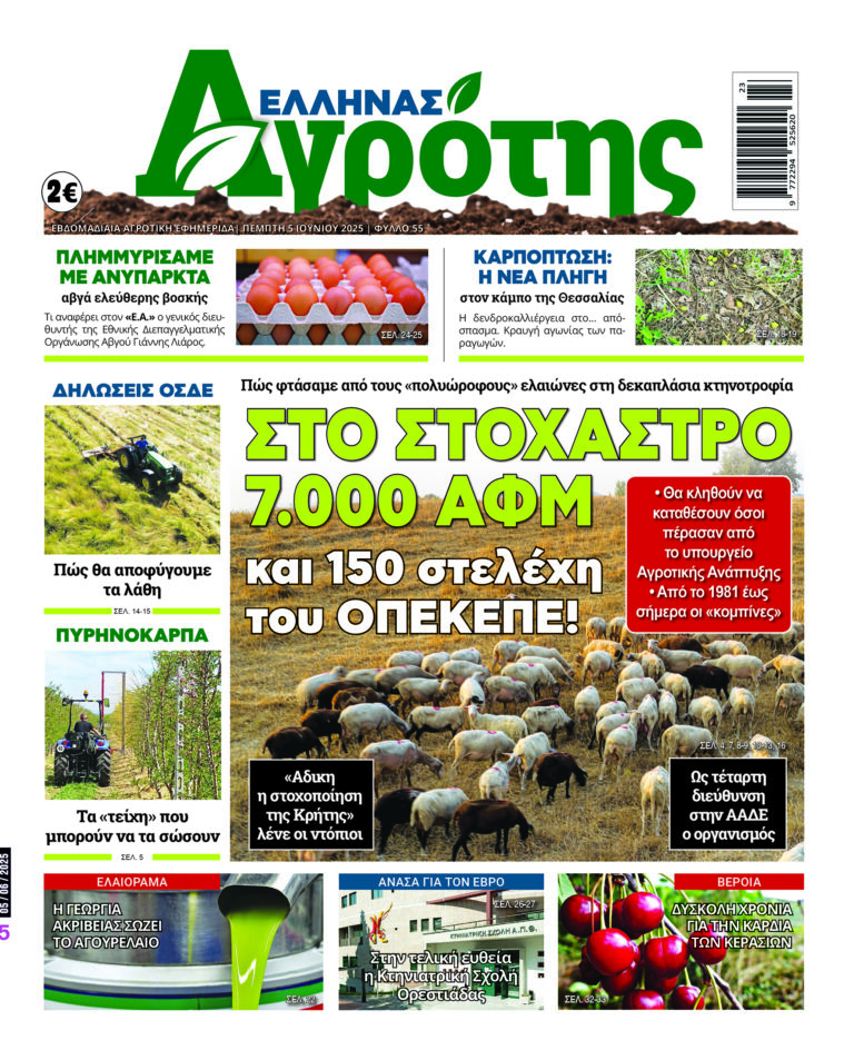 Πέμπτη 05.06.25
