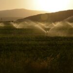 Αντιδράσεις στη Θήβα για το νερό: Οι αγρότες ζητούν έκτακτη συνεδρίαση του Δημοτικού Συμβουλίου