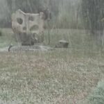 Το χαλάζι βγάζει στο δρόμο τους παραγωγούς του Τυρνάβου - Συγκέντρωση με τρακτέρ την Τετάρτη 29/7 στις 20:00 (Βίντεο)