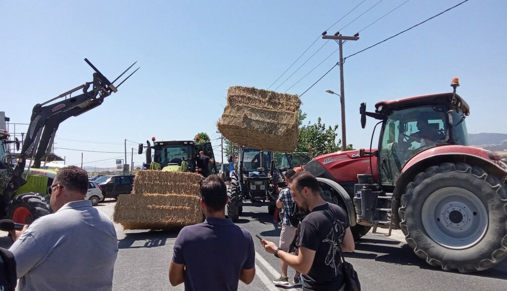 Καλλιεργητές μηδικής και κτηνοτρόφοι σε αδιέξοδο λόγω ευλογιάς - Ξεκίνησαν κινητοποιήσεις και συναντώνται με Κουρέτα (ΦΩΤΟ)