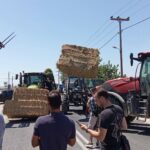 Οι Λαρισαίοι αγρότες αντιδρούν για τις πληρωμές στη μηδική - Ζητούν αποζημίωση εδώ και τώρα