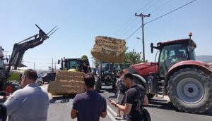 Οι Λαρισαίοι αγρότες αντιδρούν για τις πληρωμές στη μηδική - Ζητούν αποζημίωση εδώ και τώρα