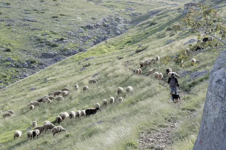 Ο ΣΕΚ ζητά επιστροφή των κλεμμένων στο Εθνικό Απόθεμα και αναδιανομή δικαιωμάτων
