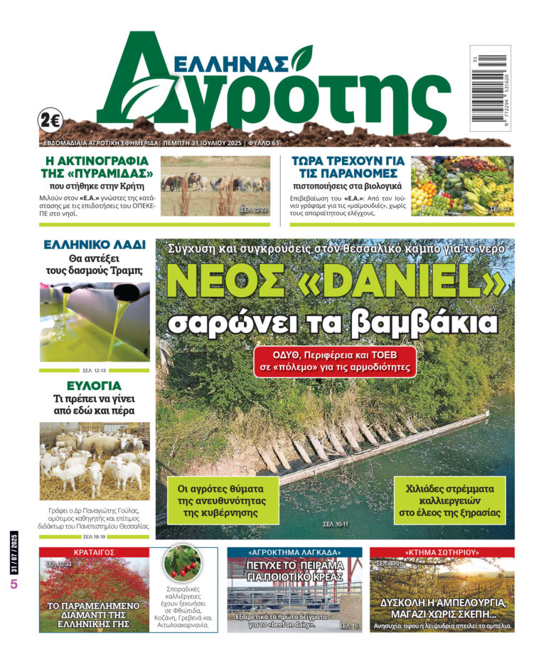 Πέμπτη 31.07.25