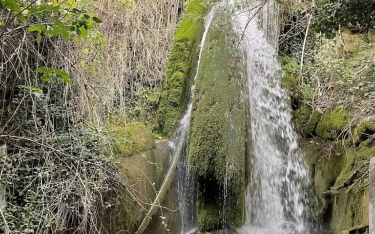 Πλαστά μισθωτήρια για το... ιδιωτικό Δάσος Αγόριανης και Μακρυρράχης