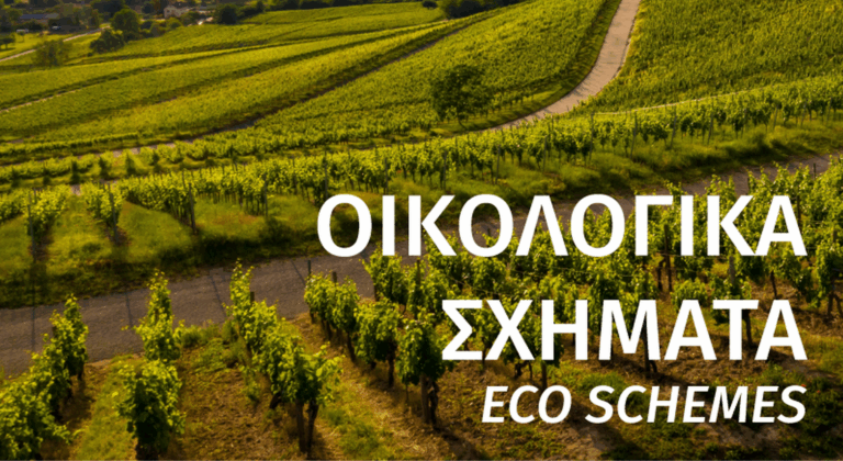 Στο ΦΕΚ τα Οικολογικά 31.2, 31.5 και 31.6 - Όλα τα ποσά (Έγγραφο)