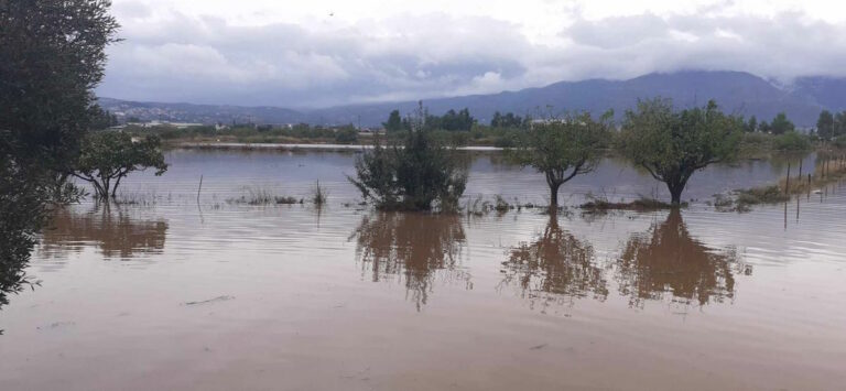 Kάρλα: Κάποιοι είχαν δηλώσει περίπου 2.500 στρέμματα του Δημοσίου και επιδοτούνταν!