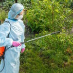 Αυστραλία: Αντιδράσεις για αμφιλεγόμενο ζιζανιοκτόνο