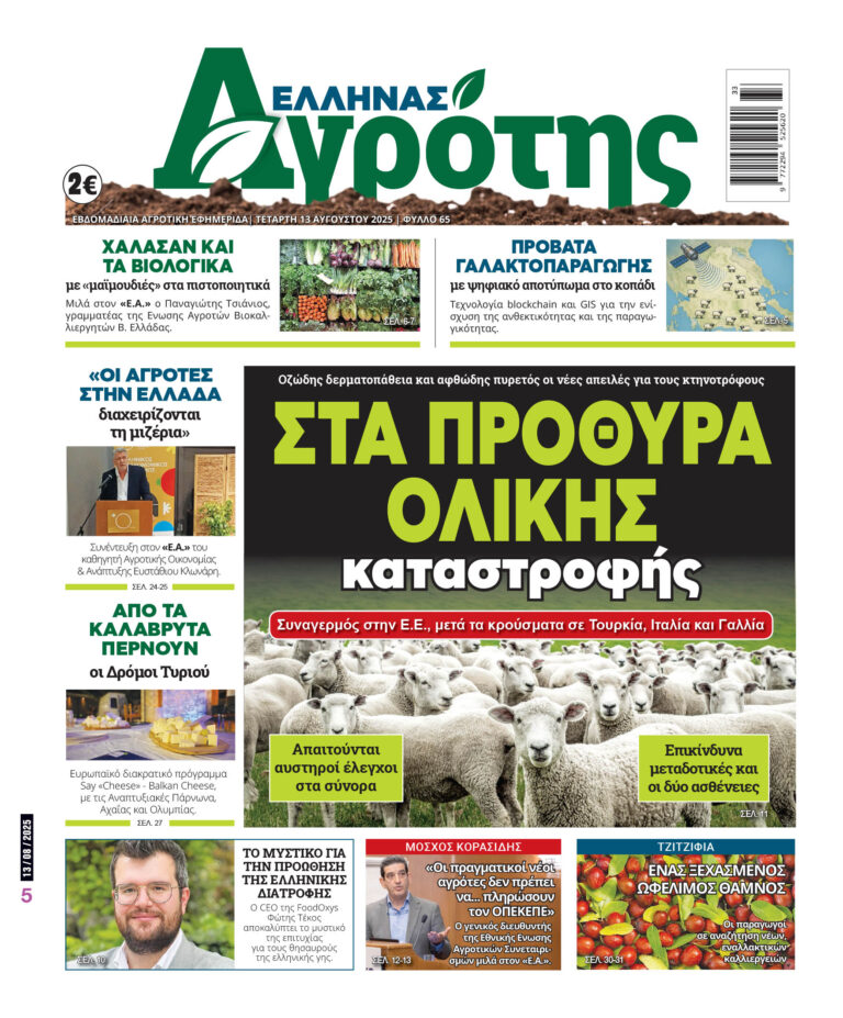 Τετάρτη 13.08.25
