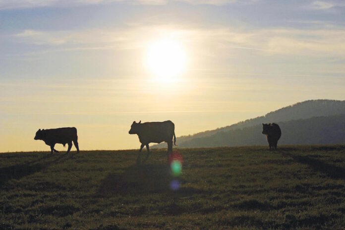 agrotourismos1
