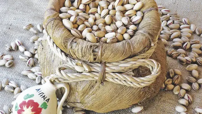 fystikia3